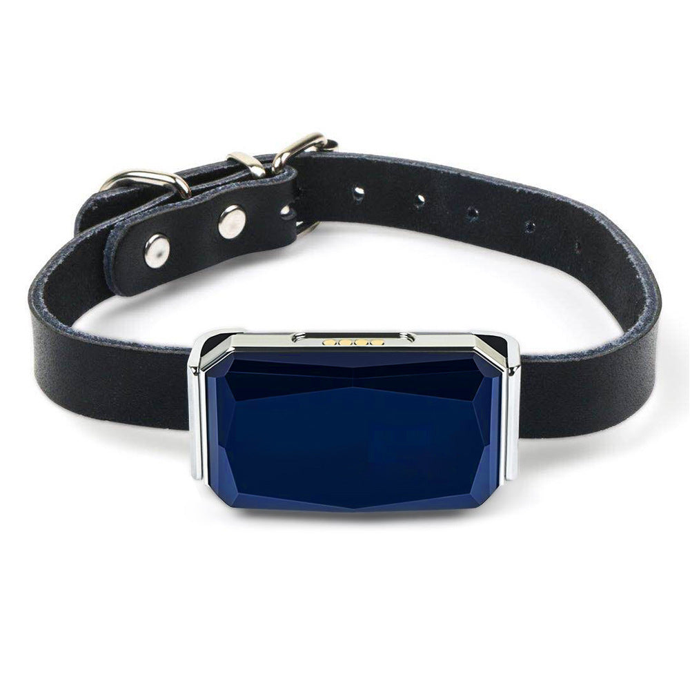 Smart GPS Tracker for Dogs — Real-Time 4G/GSM Tracking | Geo-Fence & SOS Alert | iOS & Android