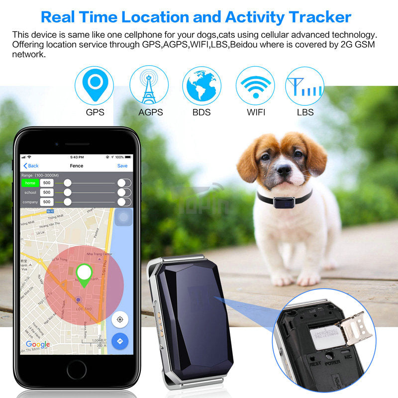 Smart GPS Tracker for Dogs — Real-Time 4G/GSM Tracking | Geo-Fence & SOS Alert | iOS & Android